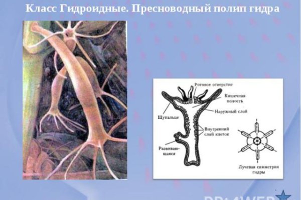 Мега даркнет ссылки megadarknetonion com